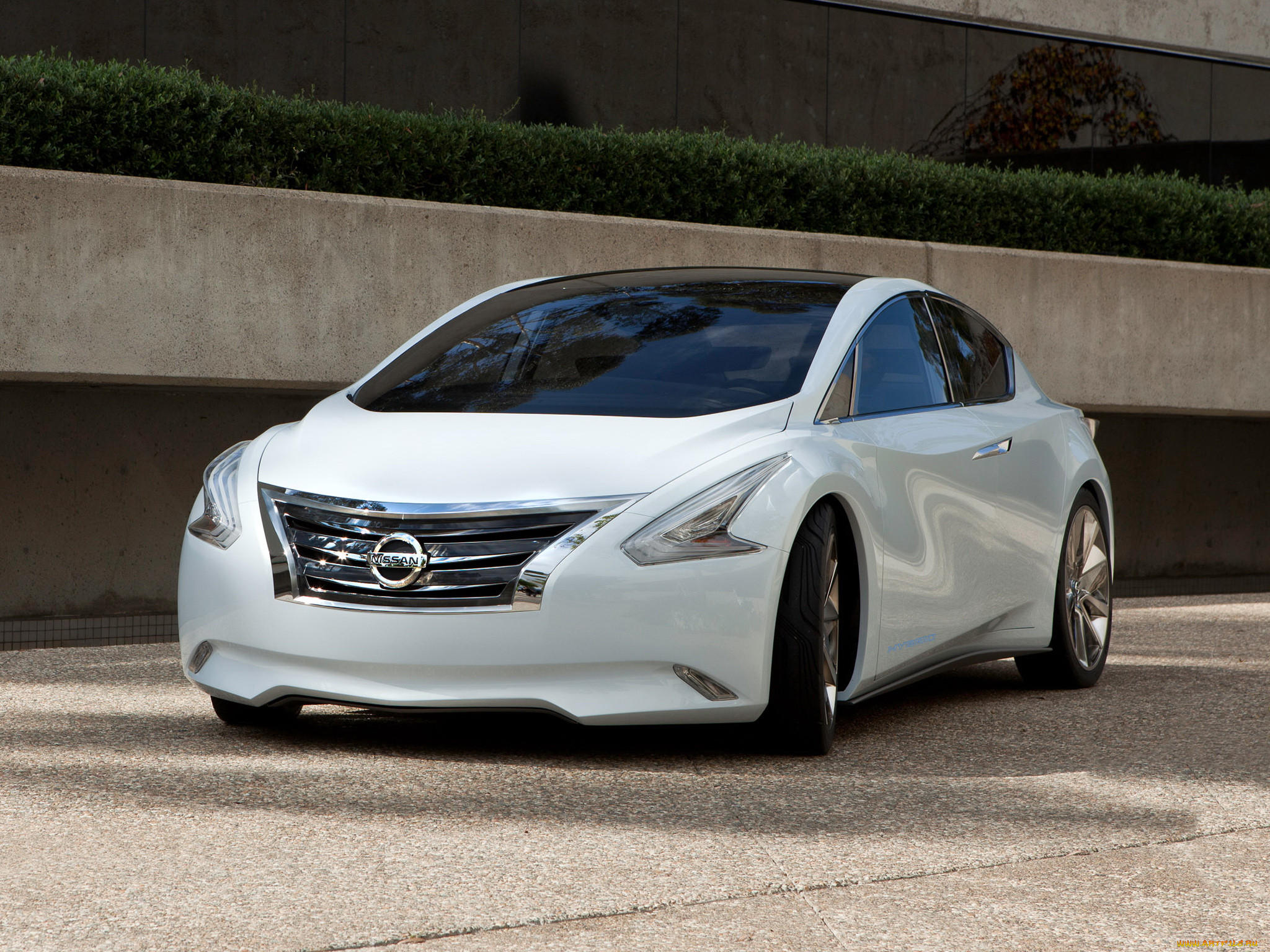 , nissan, datsun